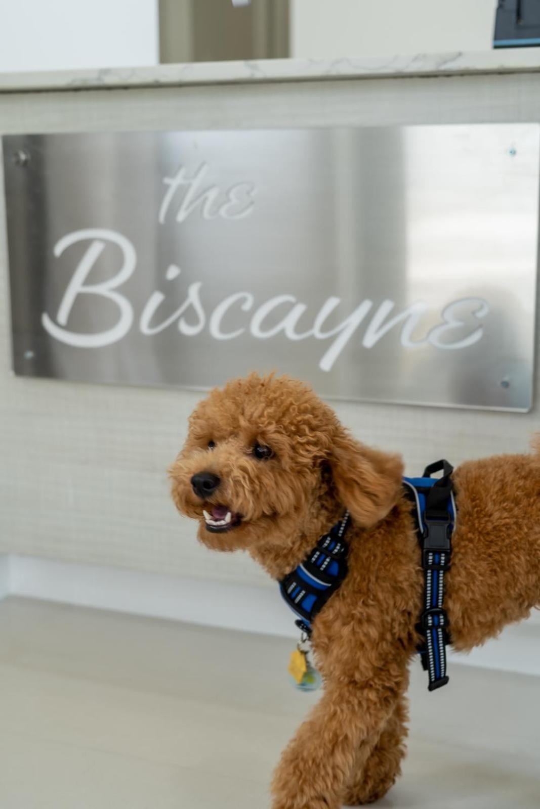 Hotel The Biscayne 3*